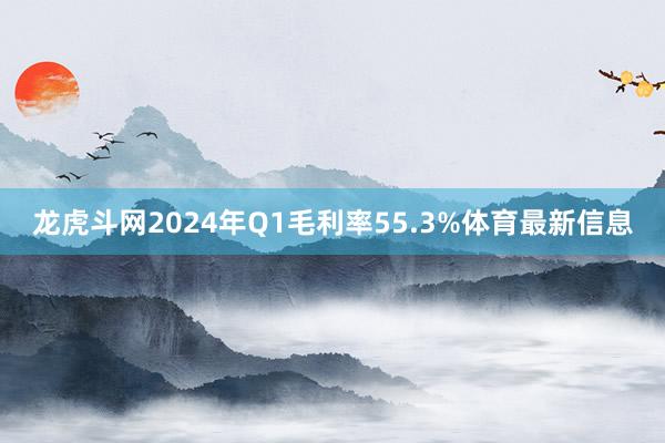 龙虎斗网2024年Q1毛利率55.3%体育最新信息