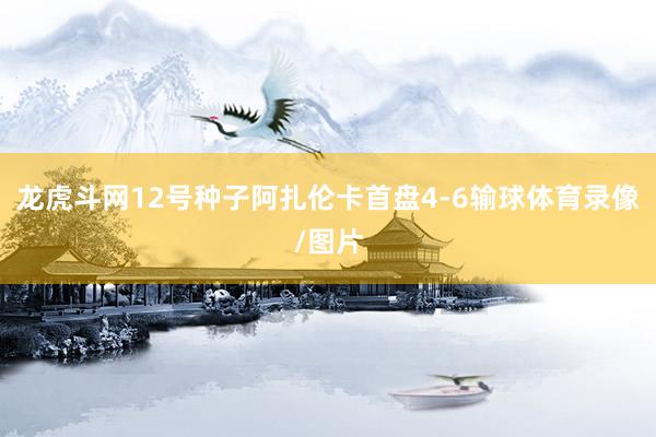 龙虎斗网12号种子阿扎伦卡首盘4-6输球体育录像/图片