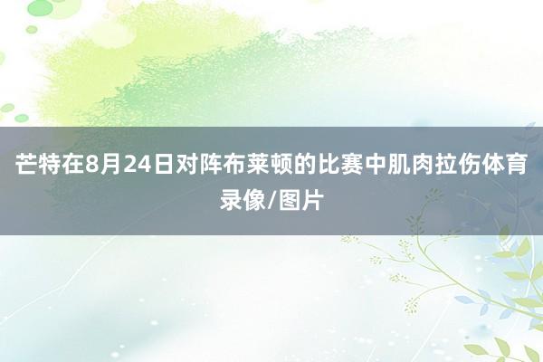 芒特在8月24日对阵布莱顿的比赛中肌肉拉伤体育录像/图片