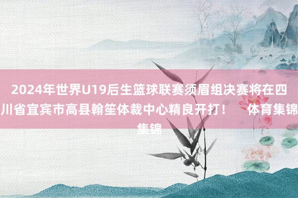 2024年世界U19后生篮球联赛须眉组决赛将在四川省宜宾市高县翰笙体裁中心精良开打！    体育集锦