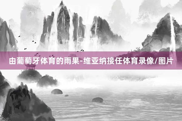 由葡萄牙体育的雨果-维亚纳接任体育录像/图片