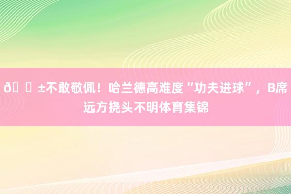 😱不敢敬佩！哈兰德高难度“功夫进球”，B席远方挠头不明体育集锦